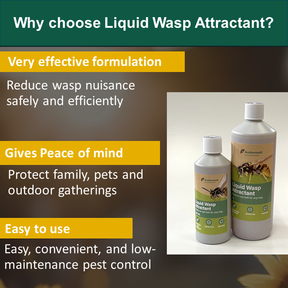 Liquid Wasp Attractant