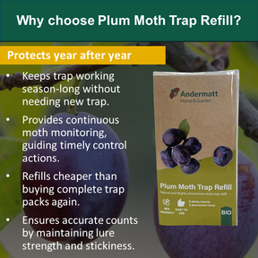 Plum moth trap refill