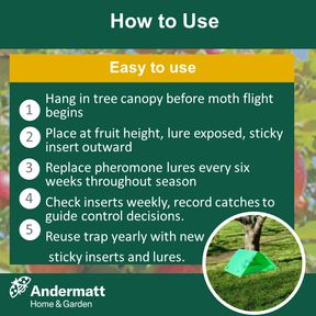 Codling moth trap