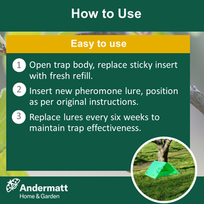 Plum moth trap refill
