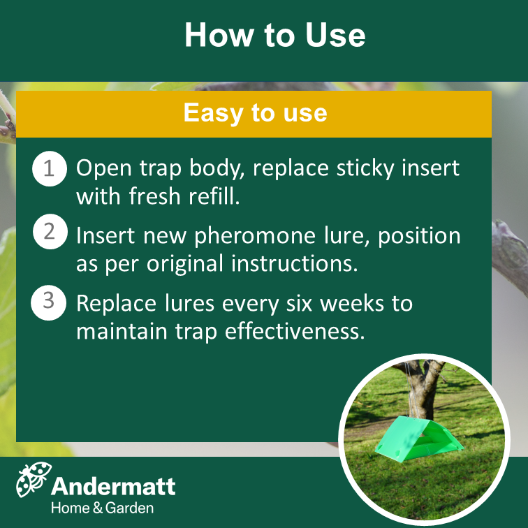 Plum moth trap refill