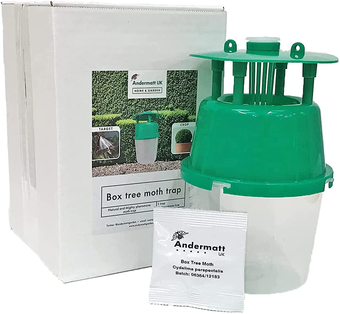 Photo of a full Box tree moth trap kit, included with packaging, a trap and a lure.