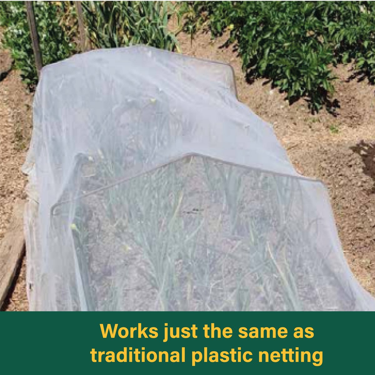 InsectoNet plastic-free insect net