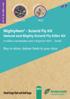 Sciarid Fly Killer Kit Gift Option