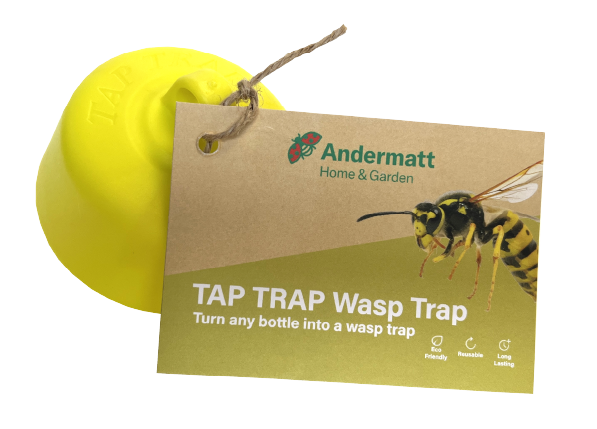 Tap Trap with Wasp Attractant