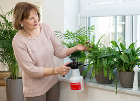Photo of a woman using the Birchmeier Super Star 125 on several potted houseplants.