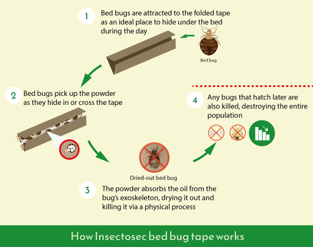 Diagram of the prevention of bedbugs through the Insectosec Tape.