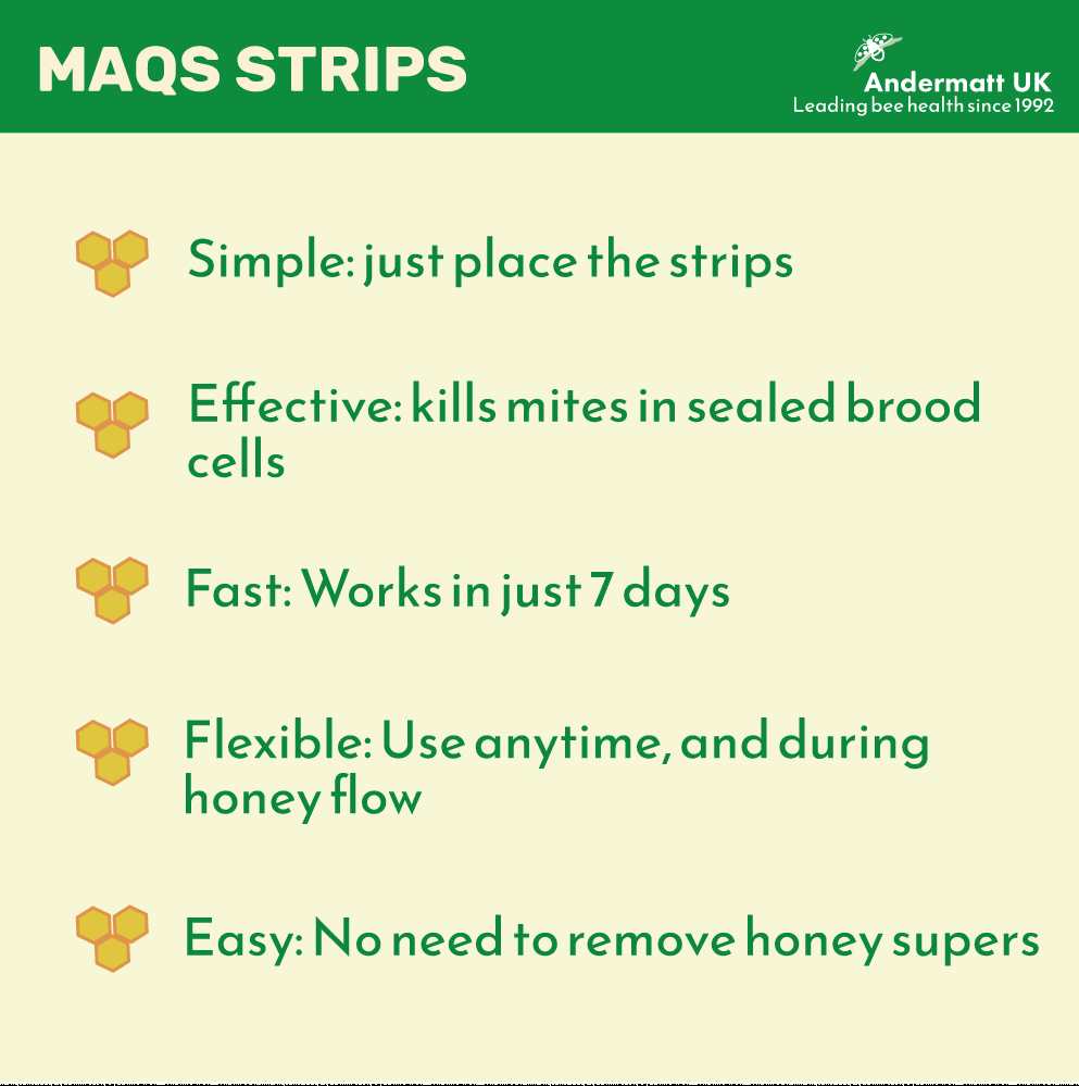 Graphic design of MAQs facts.