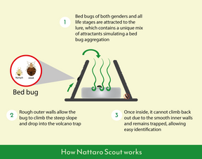 Diagram of how a bed bug trap works.