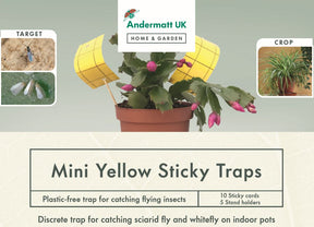 Photo of the mini yellow sticky trap packaging.