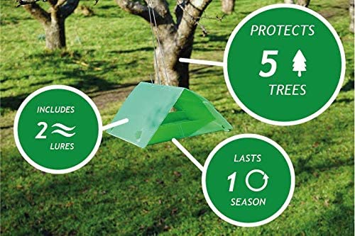 Photo of a Plum Moth Trap hanging from a tree, including graphics and timeline facts.