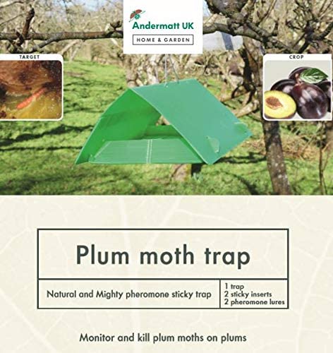 Photo of Plum Moth Trap packaging label.
