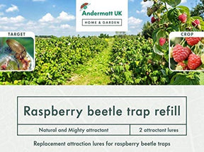 Photo of raspberry beetle trap packaging label.