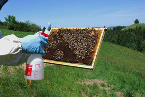 Photo of Oxuvar being sprayed onto a beehive.