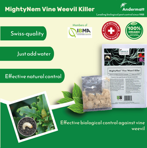 Graphic image of a MightyNem Vine Weevil Killer poster.