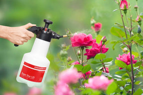 Photo depicting the Birchmeier Super Star 125 being used on some garden flowers.