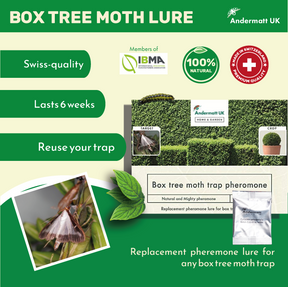 Diagram of the box tree moth lure label.