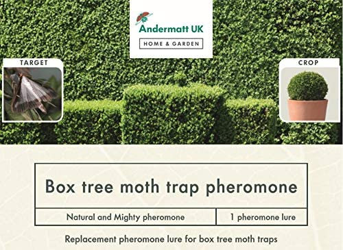 Box tree moth pheromone label.