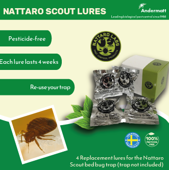 nattaro scout bed bug monitoring trap to catch bedbugs cimex spp.