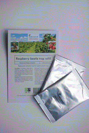 Photo of Raspberry beetle trap packaging with included lures.